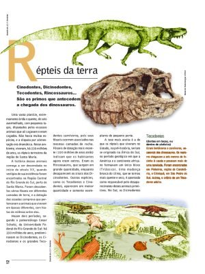 História Ilustrada do Rio Grande do Sul - Image 2